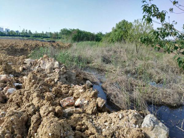 近日，安徽巢湖水華再次爆發(fā)，在室外溫度升高的情況下，巢湖水域高溫與惡臭并存，巢湖流域水環(huán)境保護形勢嚴(yán)峻。而這，也成為中央環(huán)境保護督察組督察安徽省時關(guān)注的焦點之一