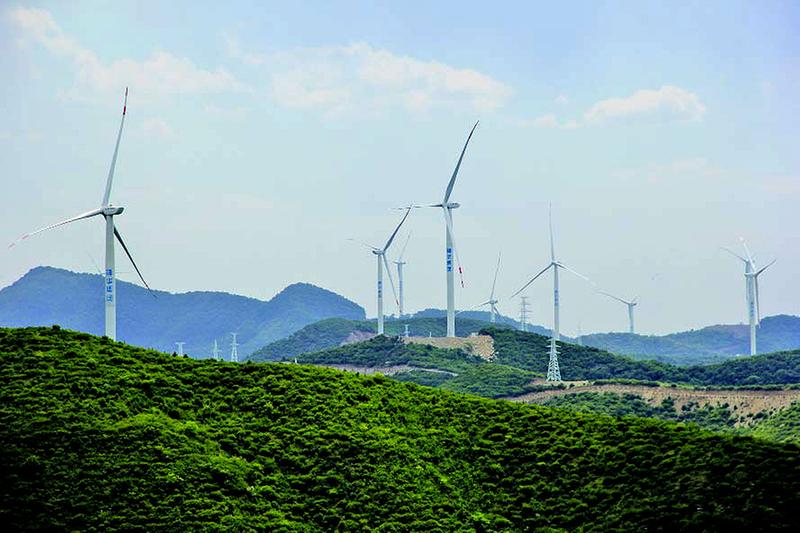 7月10日，蜿蜒起伏的云夢山迎來了盛夏里最美好的時光。剛下過一場雨的山中水霧氤氳，滿目郁郁蔥蔥，五顏六色的野花隨風搖曳