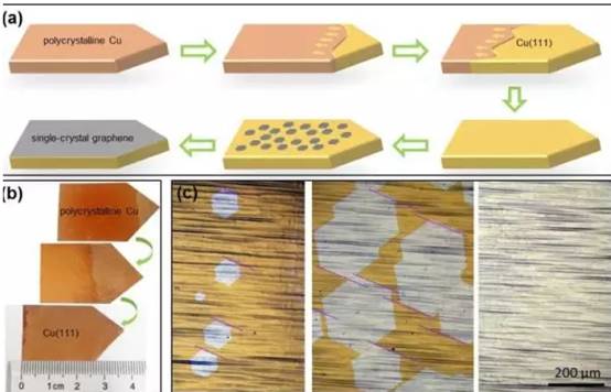 石墨烯(Graphene)是一種由碳原子構(gòu)成的單層片狀結(jié)構(gòu)的新材料，自2004年被發(fā)現(xiàn)以來(lái)，就因其神奇的特性而被譽(yù)為21世紀(jì)最有可能改變世界的新材料。雖然石墨烯從本質(zhì)上來(lái)說(shuō)就是一種由碳原子以sp2雜化軌道組成六角型呈蜂巢晶格的平面薄膜，只有一個(gè)碳原子厚度的二維材料，但其潛在應(yīng)用極為廣泛，從抗菌、淡化海水、制作太陽(yáng)能電池到集成電路電子器件等
