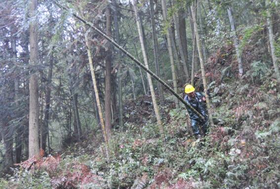 隨著夏季的到來,充沛的雨水讓樹木茁壯成長，部分地區(qū)的樹木過分生長給電網(wǎng)的安全運(yùn)行帶來嚴(yán)重的安全隱患。為保障電網(wǎng)安全、穩(wěn)定運(yùn)行，近期福建光澤供電公司積極開展樹障清理專項(xiàng)工作