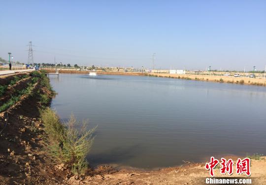 31日，鹽堿地漁農(nóng)綜合利用扶貧工程景泰現(xiàn)場(chǎng)觀摩暨戰(zhàn)略研討會(huì)于甘肅省白銀市景泰縣舉行。景泰縣委書記李作璧表示，利用鹽堿水和鹽堿地發(fā)展水產(chǎn)養(yǎng)殖，既實(shí)現(xiàn)了“變害為寶、變廢為寶”的目的，填補(bǔ)了全市乃至全省堿水魚蝦養(yǎng)殖的空白，也有助于修復(fù)生態(tài)環(huán)境