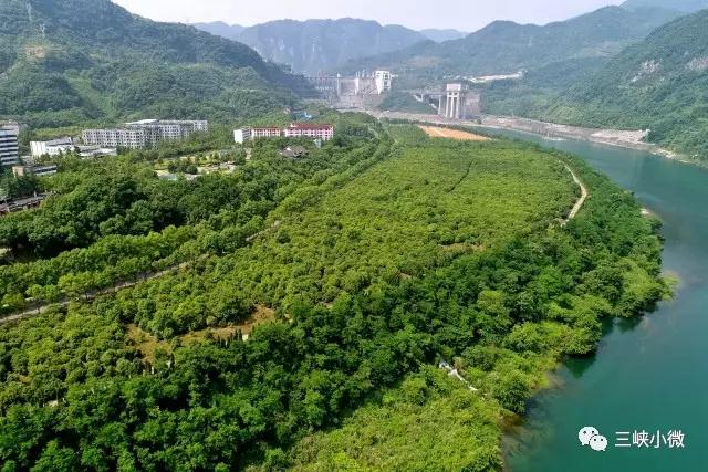 清江在30年水電開發(fā)過程中，堅(jiān)持把生態(tài)保護(hù)放在首位，在開發(fā)中保護(hù)，在保護(hù)中開發(fā)，讓青山常在、綠水長流，創(chuàng)造了生態(tài)發(fā)展的良性循環(huán)模式，為長江大保護(hù)提供了可資借鑒的經(jīng)驗(yàn)。“經(jīng)過30年的水電開發(fā)，清江流域仍群山蒼翠、漫江碧透，堪稱奇跡！”8月初，年過七旬的省委決策支持顧問、省社科院原副院長陳文科來到清江邊，面對如畫美景，由衷感慨