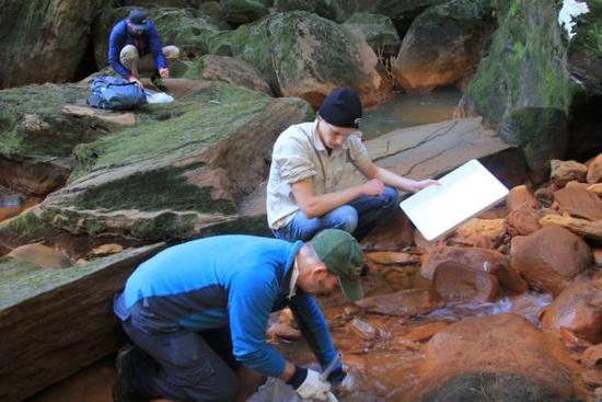 據(jù)澳大利亞廣播公司報道，位于悉尼南部山區(qū)的一座廢棄煤礦正有數(shù)百萬升高毒性污水流入悉尼飲用水源流域。澳大利亞權(quán)威水質(zhì)專家伊恩˙賴特博士對廢棄的貝里馬煤礦廢水進行了檢測，發(fā)現(xiàn)污染元素包括高酸度、鹽度、鐵濃度和硫酸鹽