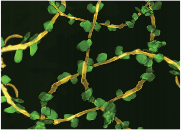 
            	【引言】近年來，空氣污染問題備受關(guān)注。對于室內(nèi)空氣污染的治理成為當(dāng)下的研究熱點之一