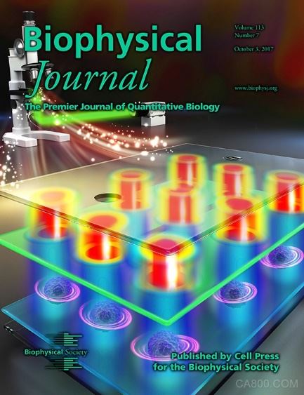 
                    
	 近日，國際著名學術期刊Biophysical Journal（中科院二區(qū)TOP類期刊，影響因子3.656）以封面論文形式刊載了中國科學院沈陽自動化研究所微納米課題組利用微納操控在細胞信息獲取領域的最新研究成果——Determination of cell membrane capacitance and conductance via optically induced electrokinetics。


	 


	  人類