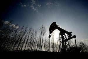 
            	12月8日，海關(guān)總署發(fā)布今年前11個(gè)月我國(guó)進(jìn)出口統(tǒng)計(jì)數(shù)據(jù)。數(shù)據(jù)顯示，前11個(gè)月我國(guó)原油和天然氣等大宗商品進(jìn)口量?jī)r(jià)齊升，其中，進(jìn)口天然氣6070萬(wàn)噸，增加26．5％，進(jìn)口均價(jià)為每噸2266．8元，上漲14．2％