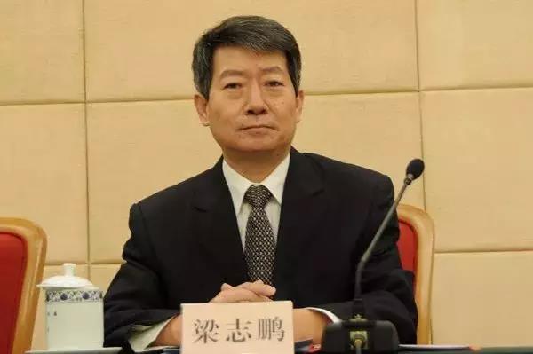 
	中國儲能網(wǎng)訊：上午10:00，國家能源局召開新聞發(fā)布會介紹2017年度新能源并網(wǎng)、投訴舉報、放管服改革、清潔取暖規(guī)劃等相關(guān)情況。新能源和可再生能源司副司長梁志鵬在會上介紹了2017年度我國新能源并網(wǎng)情況