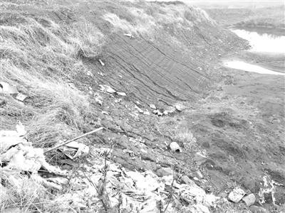 
            	長(zhǎng)江是中華民族的母親河，保護(hù)好長(zhǎng)江水資源和長(zhǎng)江流域的生態(tài)環(huán)境，關(guān)系到億萬(wàn)群眾的飲用水安全。《經(jīng)濟(jì)參考報(bào)》記者調(diào)查了解到，當(dāng)前一些人竟打起長(zhǎng)江及沿岸地區(qū)的主意，在長(zhǎng)江安徽銅陵段，大量危險(xiǎn)廢物傾倒長(zhǎng)江堤壩內(nèi)，由江浙滬至皖沿江非法轉(zhuǎn)移危險(xiǎn)廢物等工業(yè)垃圾的“產(chǎn)業(yè)鏈”浮出水面