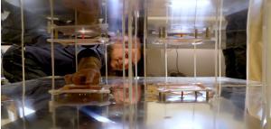 
	中國儲(chǔ)能網(wǎng)訊：據(jù)外媒報(bào)道，西北太平洋國家實(shí)驗(yàn)室（Pacific Northwest National Laboratory，PNNL）研發(fā)了新的電池電解液配方，旨在延長電池的使用壽命及電池容量，從而提升電動(dòng)車的續(xù)航里程數(shù)。


	


	在一個(gè)獨(dú)立項(xiàng)目中，美國科羅拉多大學(xué)（University of Colorado）的工程師們正在研發(fā)電動(dòng)車技術(shù)，確保車輛的行駛過程中使用無線充電技術(shù)