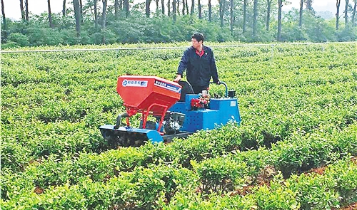  




　　御庭春茶場工人正在用小型機械作業(yè)。 劉 慧攝
　　2018年是我國推廣有機肥替代化肥試點的第二年，率先在果菜茶領(lǐng)域進行的試點，一年就實現(xiàn)了有機肥用量增加50%