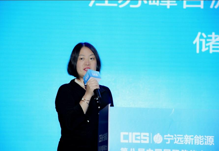 
	中國儲(chǔ)能網(wǎng)訊：5月19日至21日，“第八屆中國國際儲(chǔ)能大會(huì)”在深圳隆重召開， 來自中國、美國、德國、英國、加拿大、西班牙、日本、韓國、澳大利亞等國和地區(qū)1500余位政府機(jī)構(gòu)、科研院所、行業(yè)組織、電力公司、新能源項(xiàng)目單位、系統(tǒng)集成商等代表出席本次大會(huì)。


	江蘇峰谷源儲(chǔ)能技術(shù)研究院有限公司總經(jīng)理章寧琳在儲(chǔ)能與新能源投融資專場，發(fā)表了題為“儲(chǔ)能產(chǎn)業(yè)投資經(jīng)驗(yàn)談”的精彩演講