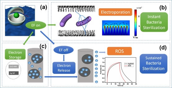 
			              材料和電之間存在密切的關聯(lián)。如基于摩擦起電的現(xiàn)象，通過選擇合適的材料和電路設計，可成功制備將機械能轉化為電能的摩擦納米發(fā)電機
