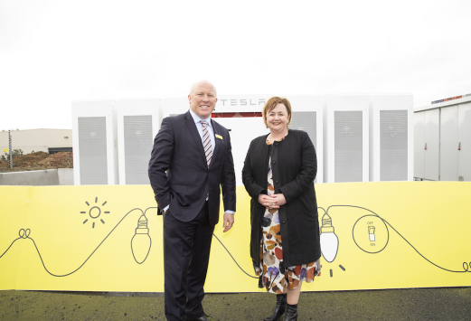 
	中國(guó)儲(chǔ)能網(wǎng)訊：新西蘭能源部長(zhǎng)Megan Woods博士參加了一個(gè)啟動(dòng)儀式，正式啟動(dòng)新西蘭首個(gè)電網(wǎng)規(guī)模的儲(chǔ)能系統(tǒng)，這是由新西蘭能源零售商和項(xiàng)目業(yè)主Mercury能源公司開發(fā)部署的。


	 



	Mercury公司首席執(zhí)行官Fraser Whineray與新西蘭能源部長(zhǎng)Megan Woods博士出席啟動(dòng)儀式


	據(jù)透露，這個(gè)電池儲(chǔ)能項(xiàng)目以特斯拉Powerpack 2電池系統(tǒng)為基礎(chǔ)，并于今年1月開始安裝部署