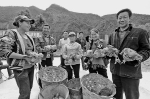 
　　8月5日，涼山供電公司在阿吼村開展閹雞養(yǎng)殖競賽。蔣志明 攝

　　2008年，按照四川省委省政府統(tǒng)一部署，國網(wǎng)四川省電力公司在樂山馬邊縣和涼山喜德縣啟動(dòng)精準(zhǔn)扶貧幫扶工作