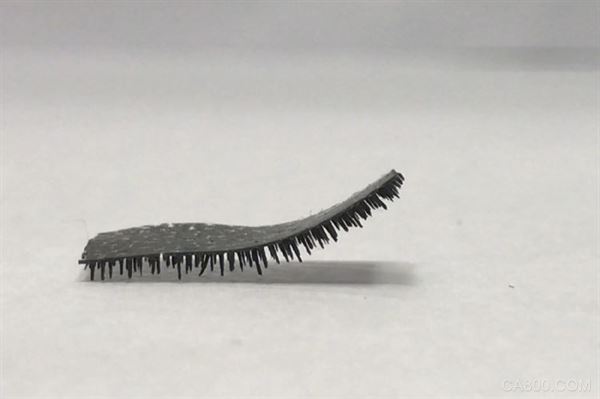 
                    
	   


	香港城市大學研究團隊開發(fā)出能在人體內(nèi)輸送藥物的微型機器人。CityU 

  
  香港城市大學(City University of Hong Kong；CityU)領(lǐng)導的研究團隊開發(fā)出一種軟性微型機器人